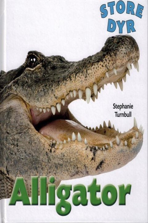 Omslag: Alligator