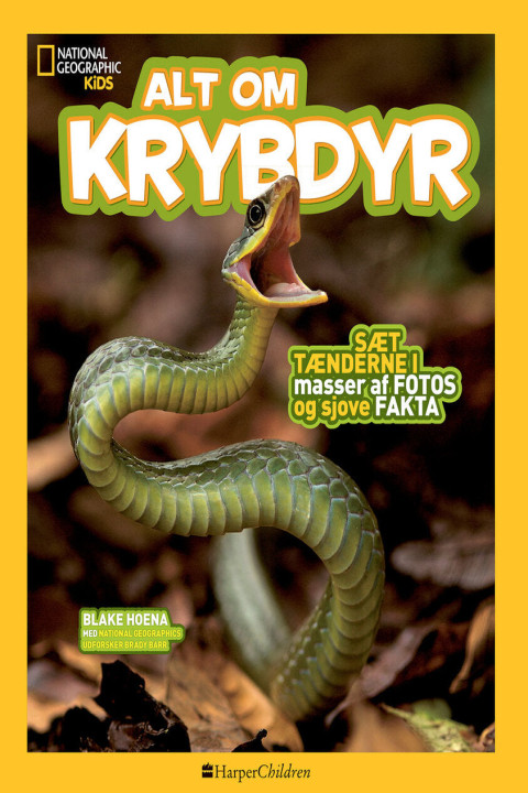 Omslag: Alt om krybdyr