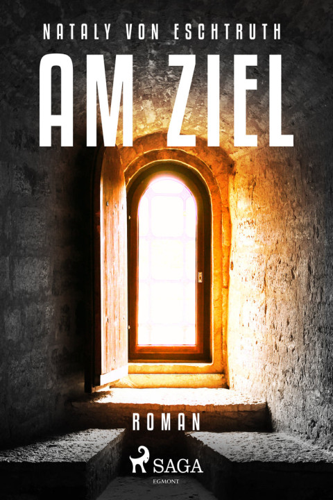 Omslag: Am Ziel