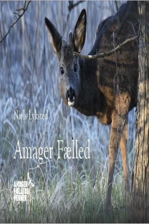 Omslag: Amager Fælled