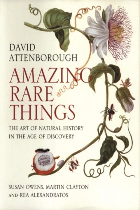 Omslag: Amazing Rare Things