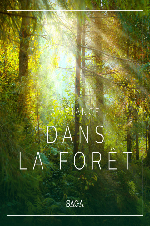 Omslag: Ambiance - Dans la forÃªt