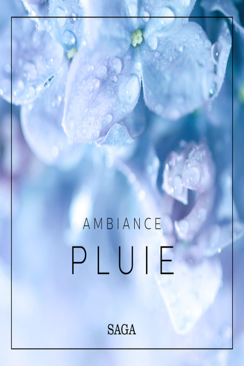 Omslag: Ambiance - Pluie