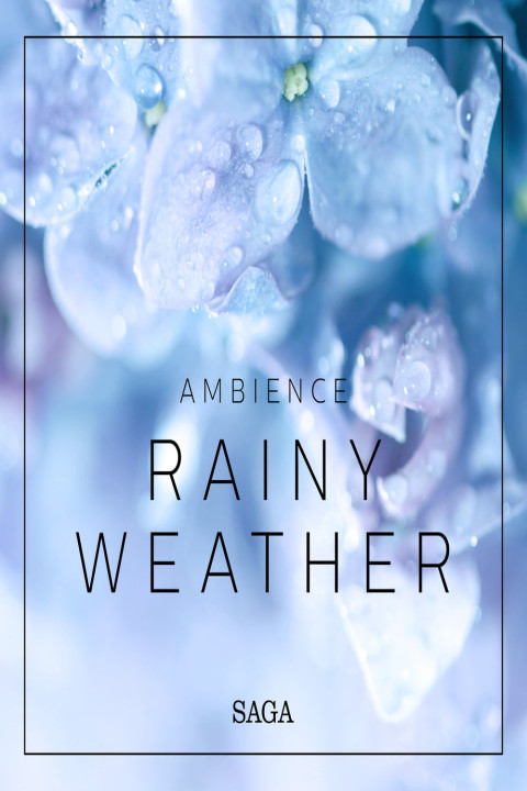 Omslag: Ambience - Rainy Weather