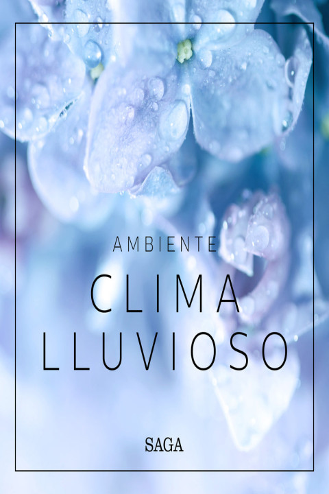 Omslag: Ambiente - Clima lluvioso