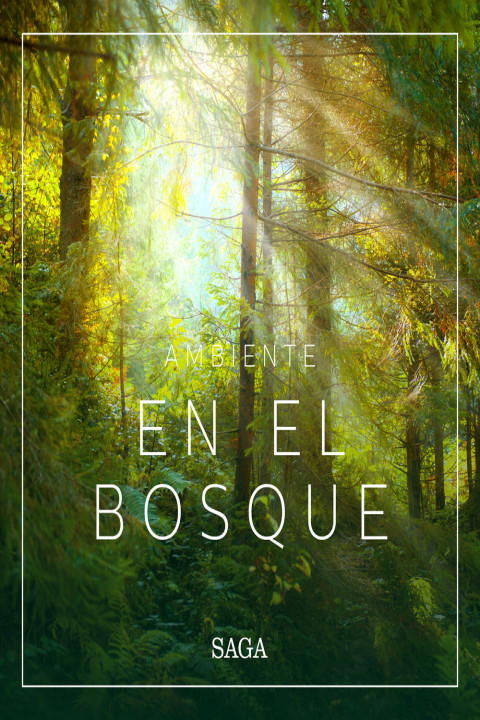Omslag: Ambiente - En el bosque