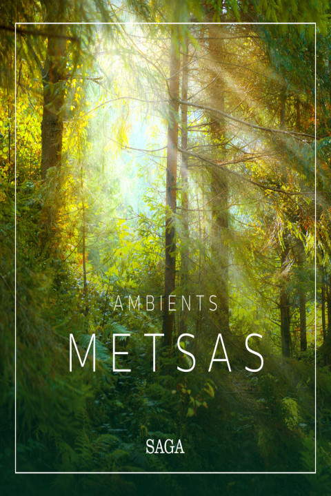 Omslag: Ambients - Metsas
