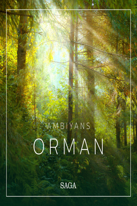 Omslag: Ambiyans - Orman