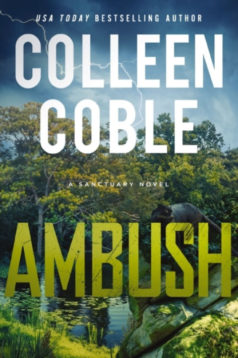 Omslag: Ambush