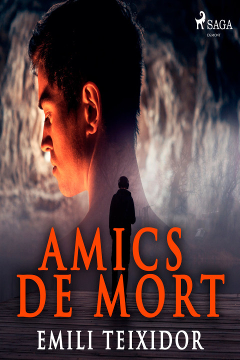 Omslag: Amics de mort