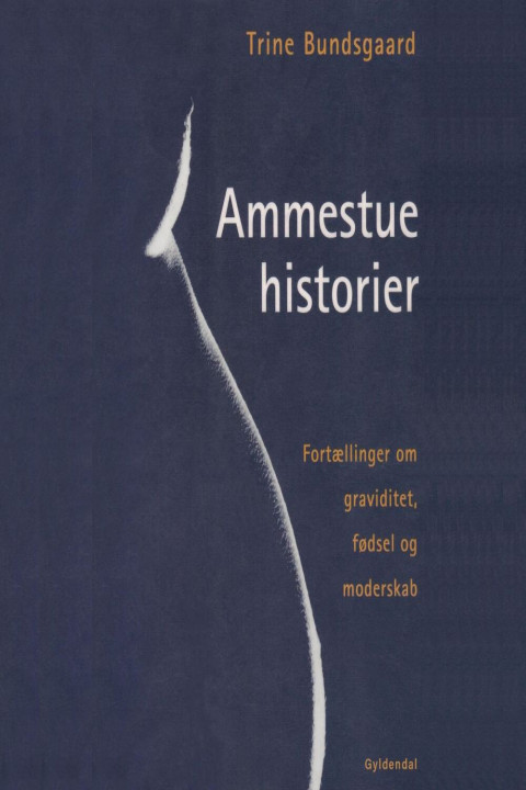 Omslag: Ammestuehistorier