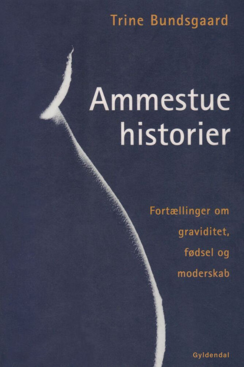 Omslag: Ammestuehistorier