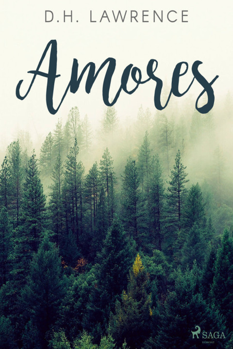 Omslag: Amores