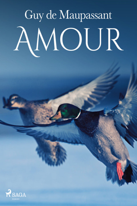 Omslag: Amour