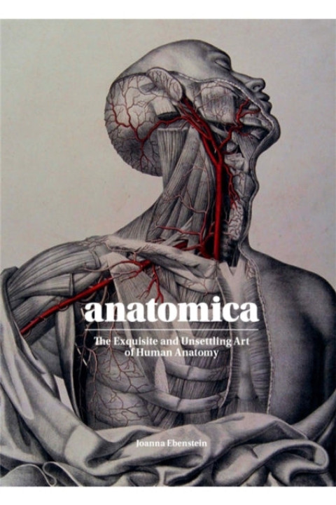Omslag: Anatomica