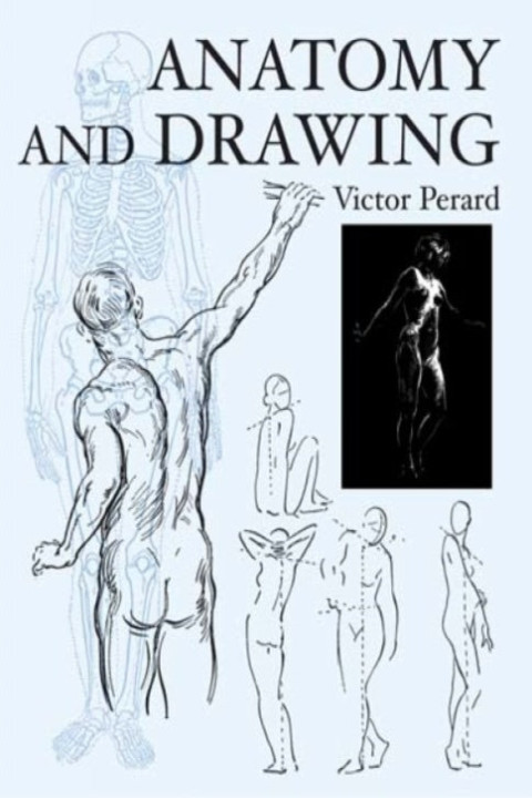 Omslag: Anatomy and Drawing