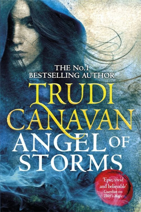 Omslag: Angel of Storms