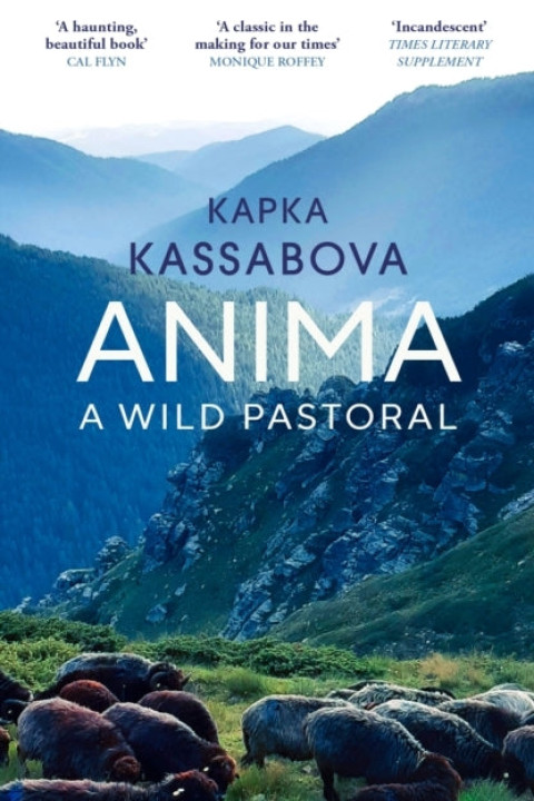 Omslag: Anima