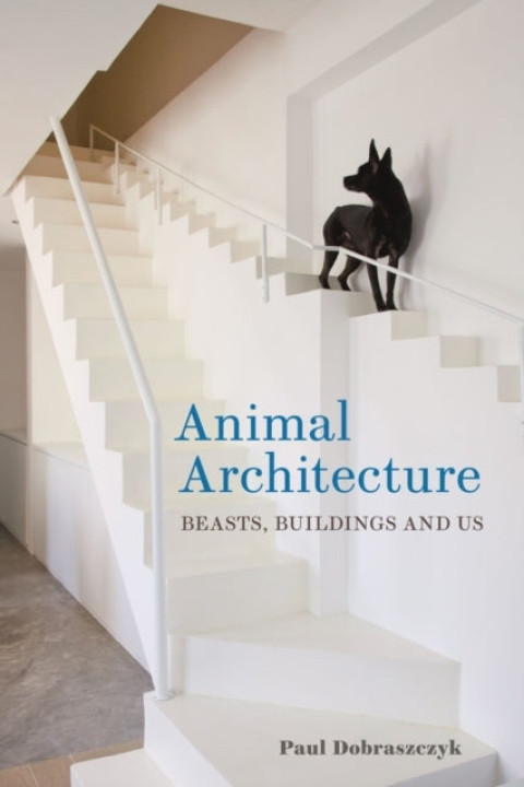 Omslag: Animal Architecture