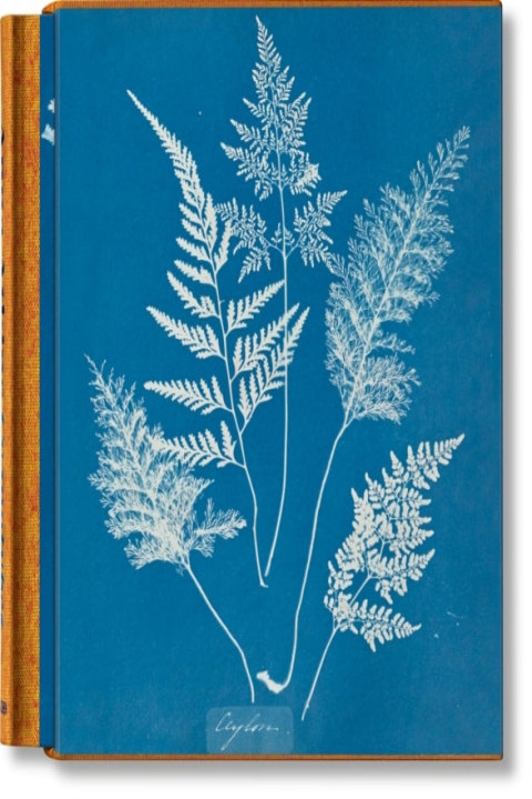 Omslag: Anna Atkins. Cyanotypes