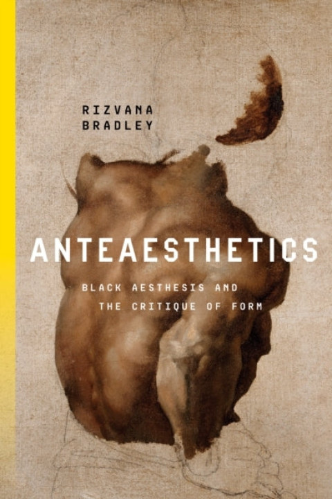 Omslag: Anteaesthetics