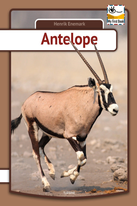 Omslag: Antelope
