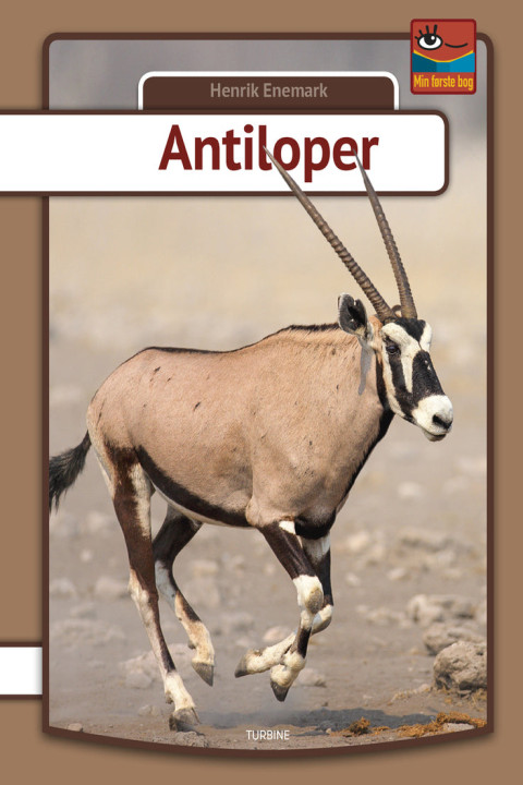 Omslag: Antiloper