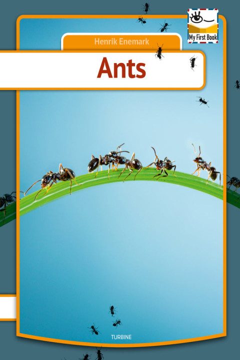 Omslag: Ants