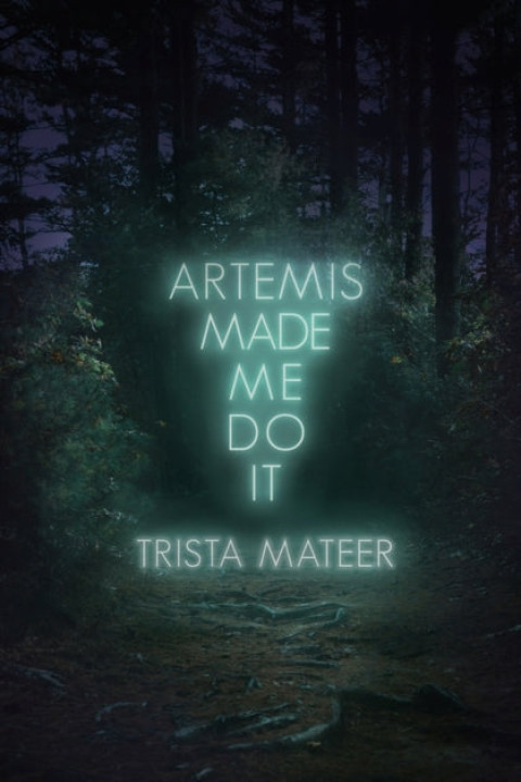 Omslag: Artemis Made Me Do It