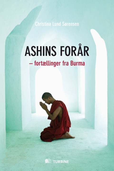 Omslag: Ashins forår