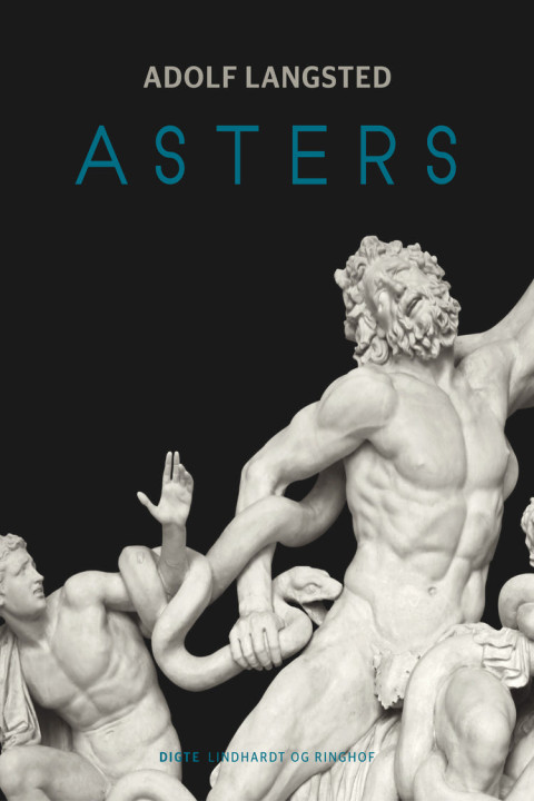 Omslag: Asters