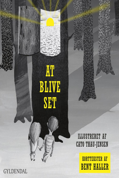 Omslag: At blive set - Korttekster