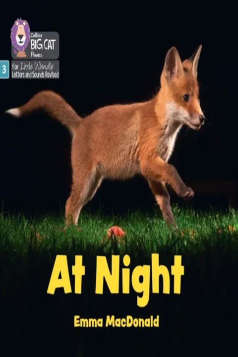 Omslag: At Night - Phase 3 Set 1 Blending Practice