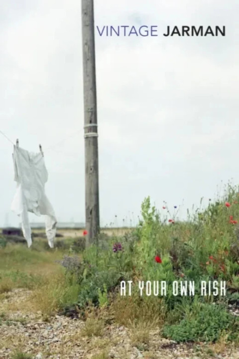 Omslag: At Your Own Risk - A Saint's Testament