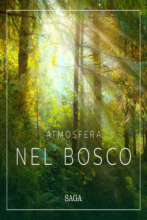 Omslag: Atmosfera - Nel bosco