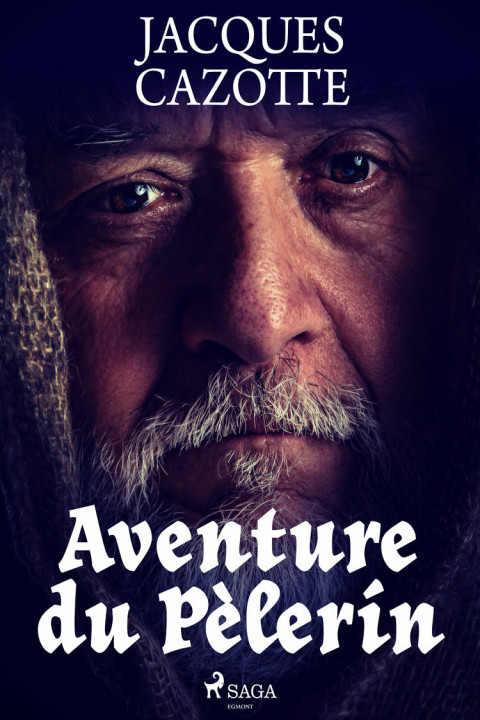 Omslag: Aventure du PÃ lerin