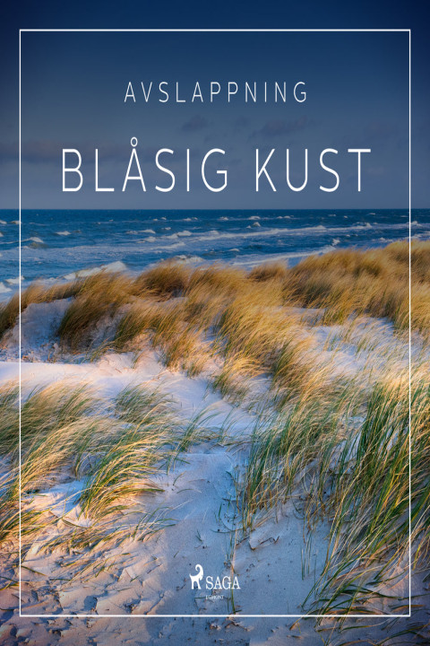 Omslag: Avslappning - Blåsig kust