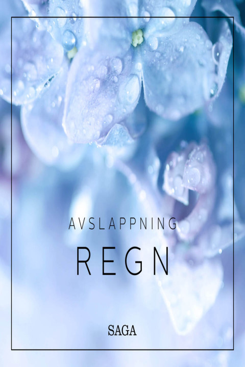 Omslag: Avslappning - Regn