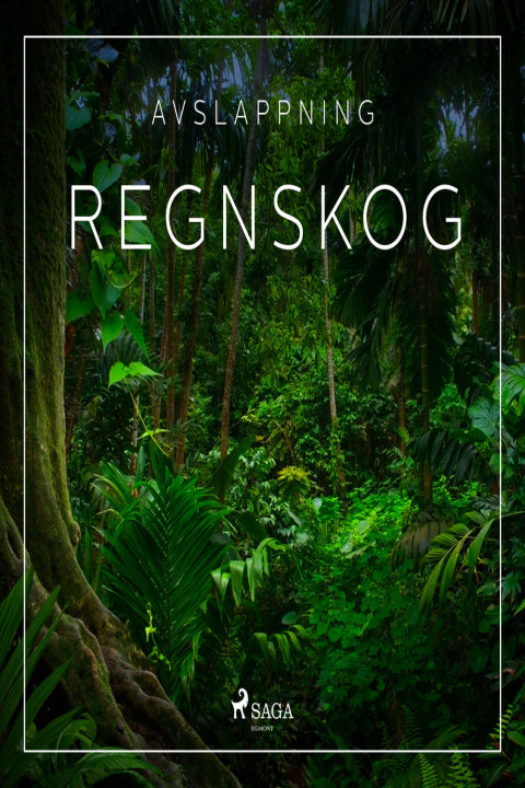 Omslag: Avslappning - Regnskog