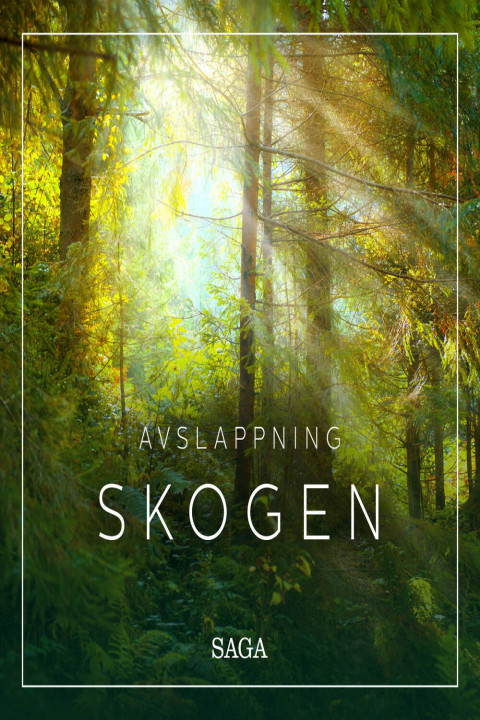 Omslag: Avslappning - Skogen