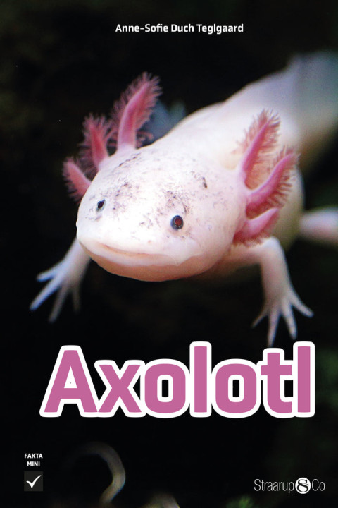 Omslag: Axolotl