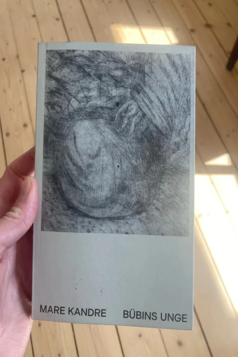 Omslag: Bübins unge