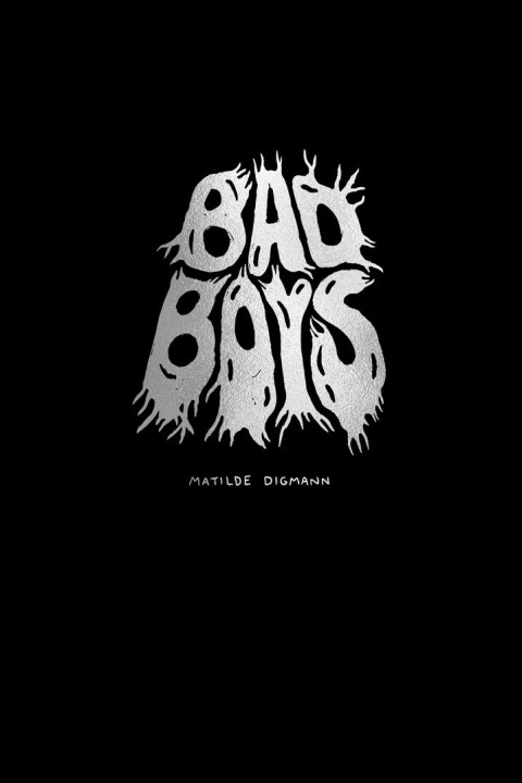 Omslag: Bad Boys