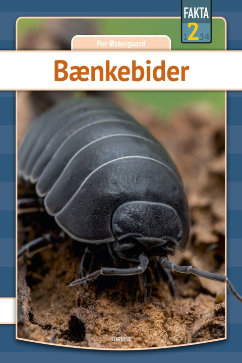 Omslag: Bænkebider