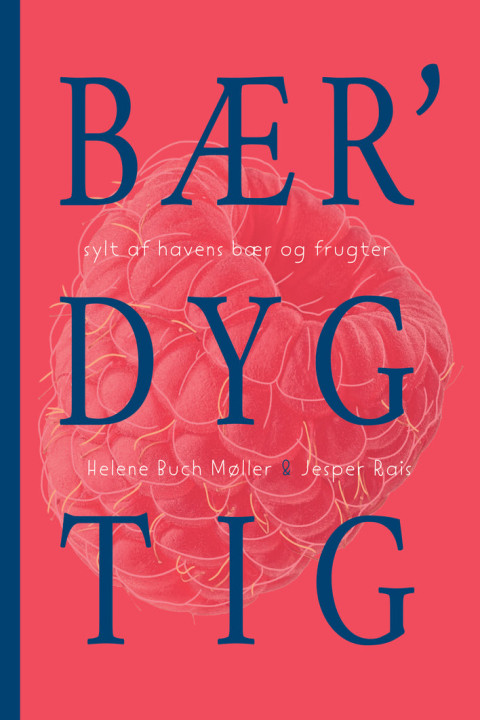 Omslag: Bærâ dygtig