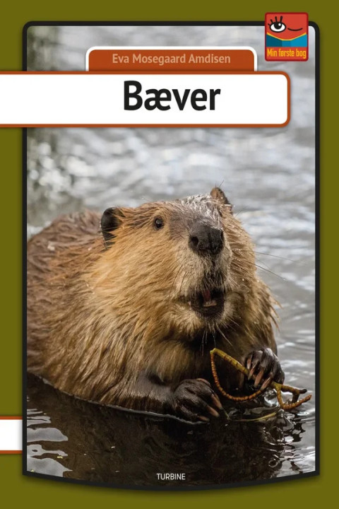Omslag: Bæver