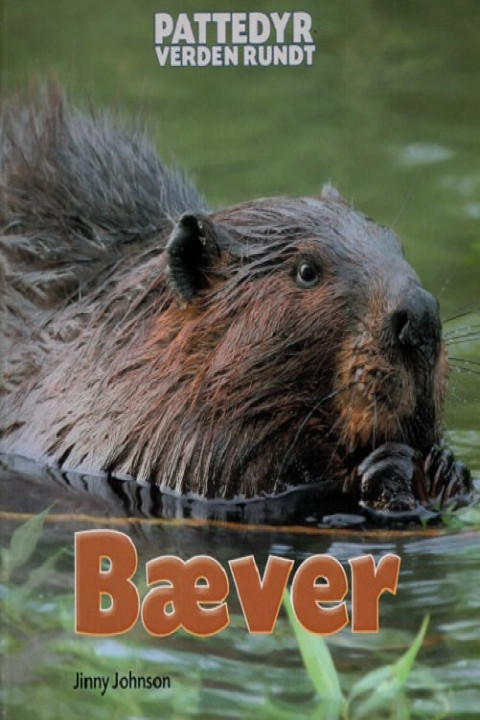 Omslag: Bæver