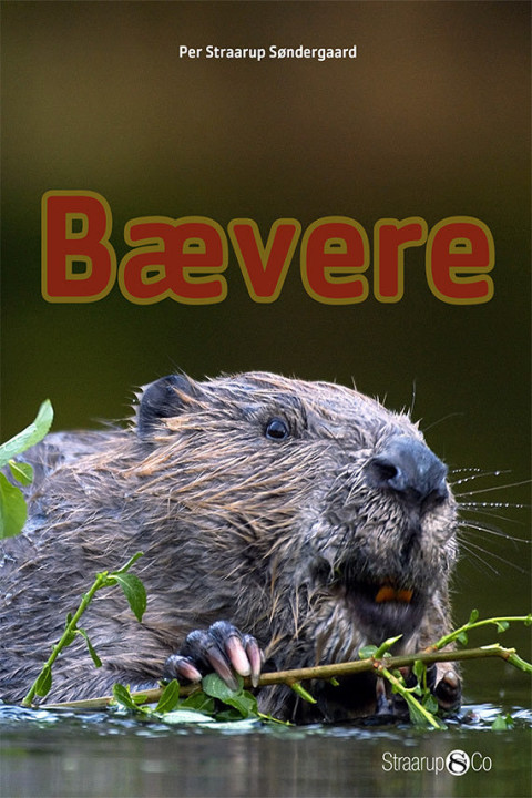 Omslag: Bævere