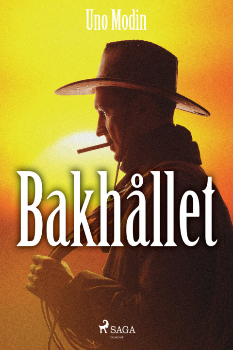 Omslag: Bakhållet