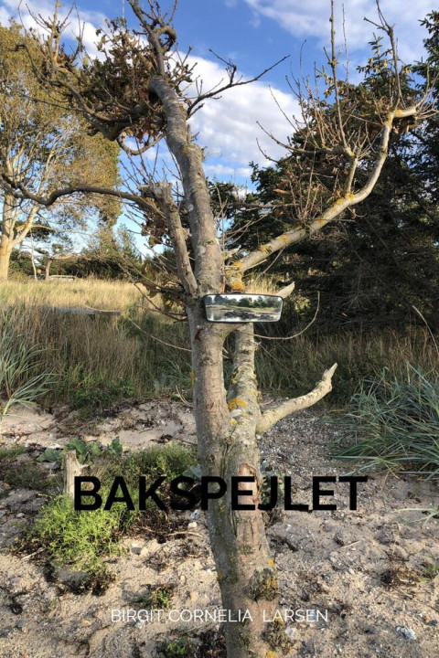 Omslag: Bakspejlet